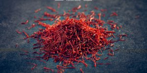 Wild Harvest Launches New Collection of Premium Ingredients