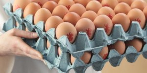 The knowledge gap around egg safety remains