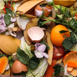 Preparing for new food waste legislation