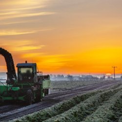 Weather and global events continue to impact fresh produce