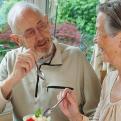 Championing plant-based living in the UK’s care sector