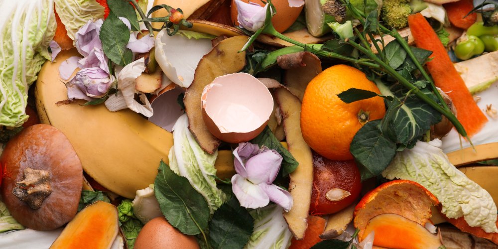 Mandatory Food Waste Separation becomes law in 2025