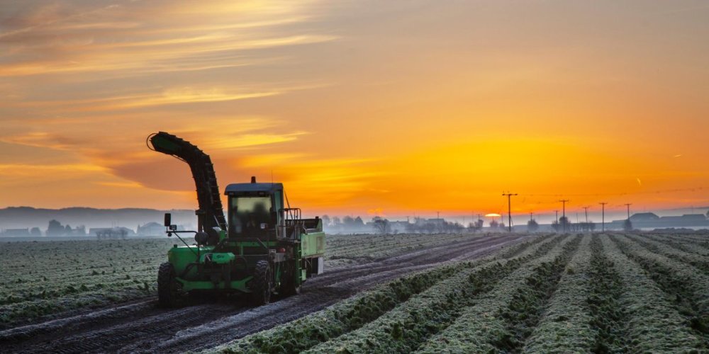 Weather and global events continue to impact fresh produce