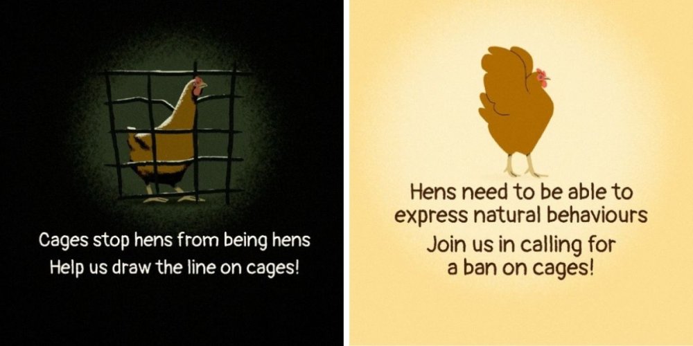 New Social Media Campaign Urges DEFRA to Legislate Against Cages