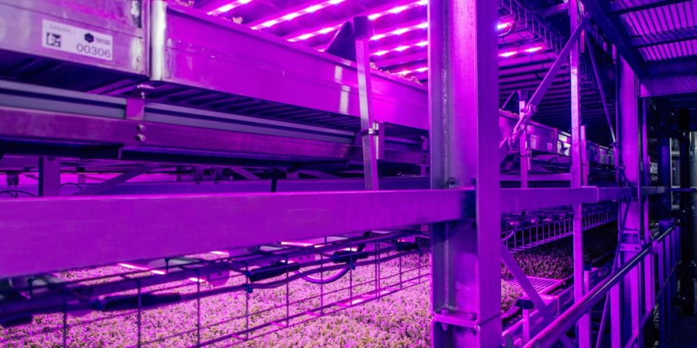 Fresh Direct Stands Up for Vertical Farming